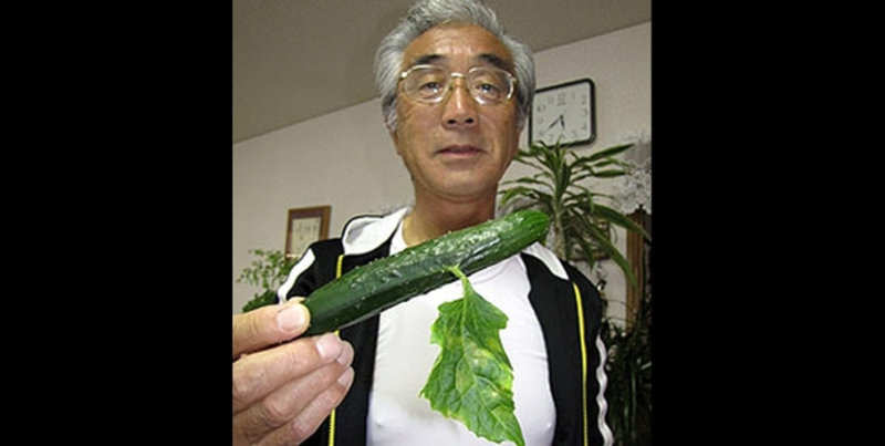 福島原発事故で高線量の放射能が降り注いだ場所では様々な奇形植物や奇形野菜が 次は 人類 高山清洲 世界平和 人類みんな兄弟