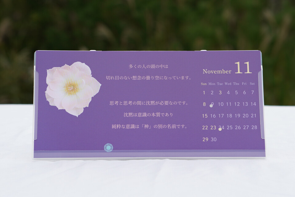 前日に撮影した「狭義の肉体の身体」の波動が良くない写真