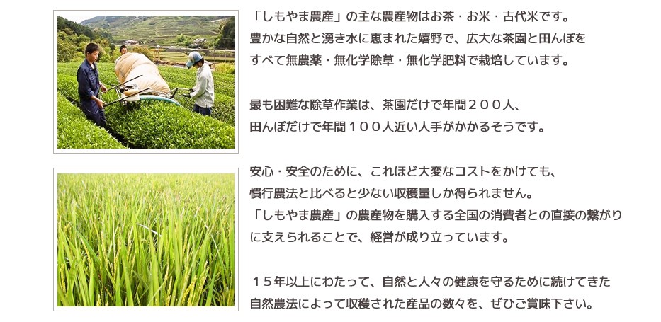  「しもやま農産」代表　太田政春 九州・佐賀県嬉野市でお茶・お米を生産販売しています。 今は簡単に出来る無農薬栽培。スタートの二十年前は大変でしたが、 今は欲を出さない農業で、半分は自然任せの農法に切り替えたら、 それなりのお茶・お米をお客様にお届けしています。 夢は幻のお茶つくりで、 一口飲んで人生が変わるような究極のお茶を目指します。 