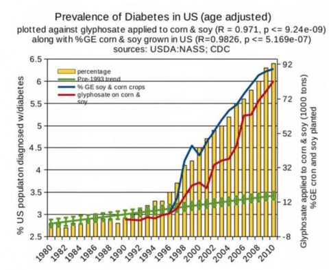 米国での糖尿病の増加と遺伝子組み換え