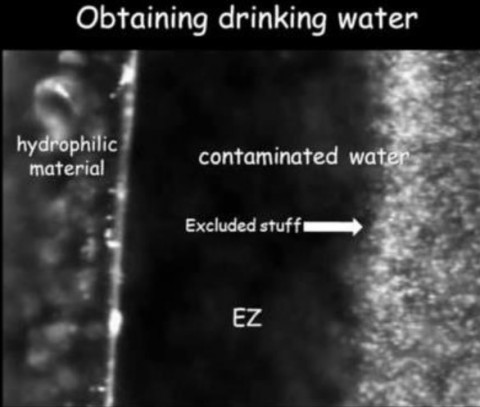 《飲用水の獲得、親水性の物質、汚染された水、除外された物、EZ》
