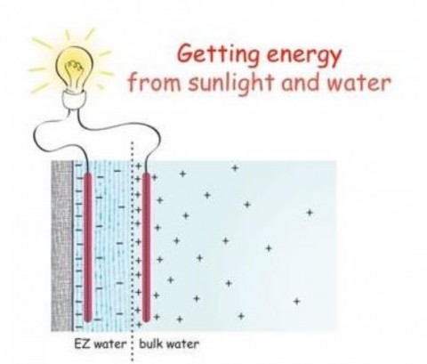 《日光と水からエネルギーを獲得する、EZ水、自由水》