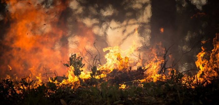 カリフォルニアが大規模な山火事で大きな被害 上空からレーザーで焼いたとしか思えない状況 シャンティ フーラの時事ブログ