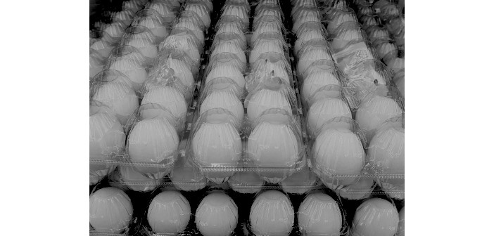 新型プラスチック米やニセモノの卵、バナナまで流通している! ~驚きの偽装食品の実態